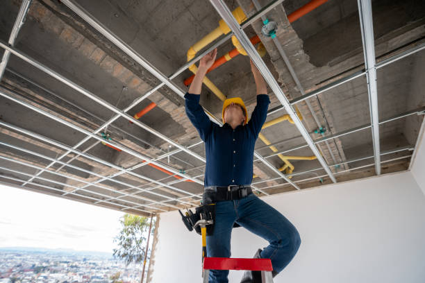 Best Commercial Plumbing Services  in Nneconne, WI