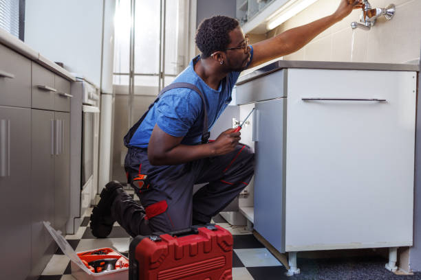 Best Plumbing Inspection Services  in Nneconne, WI